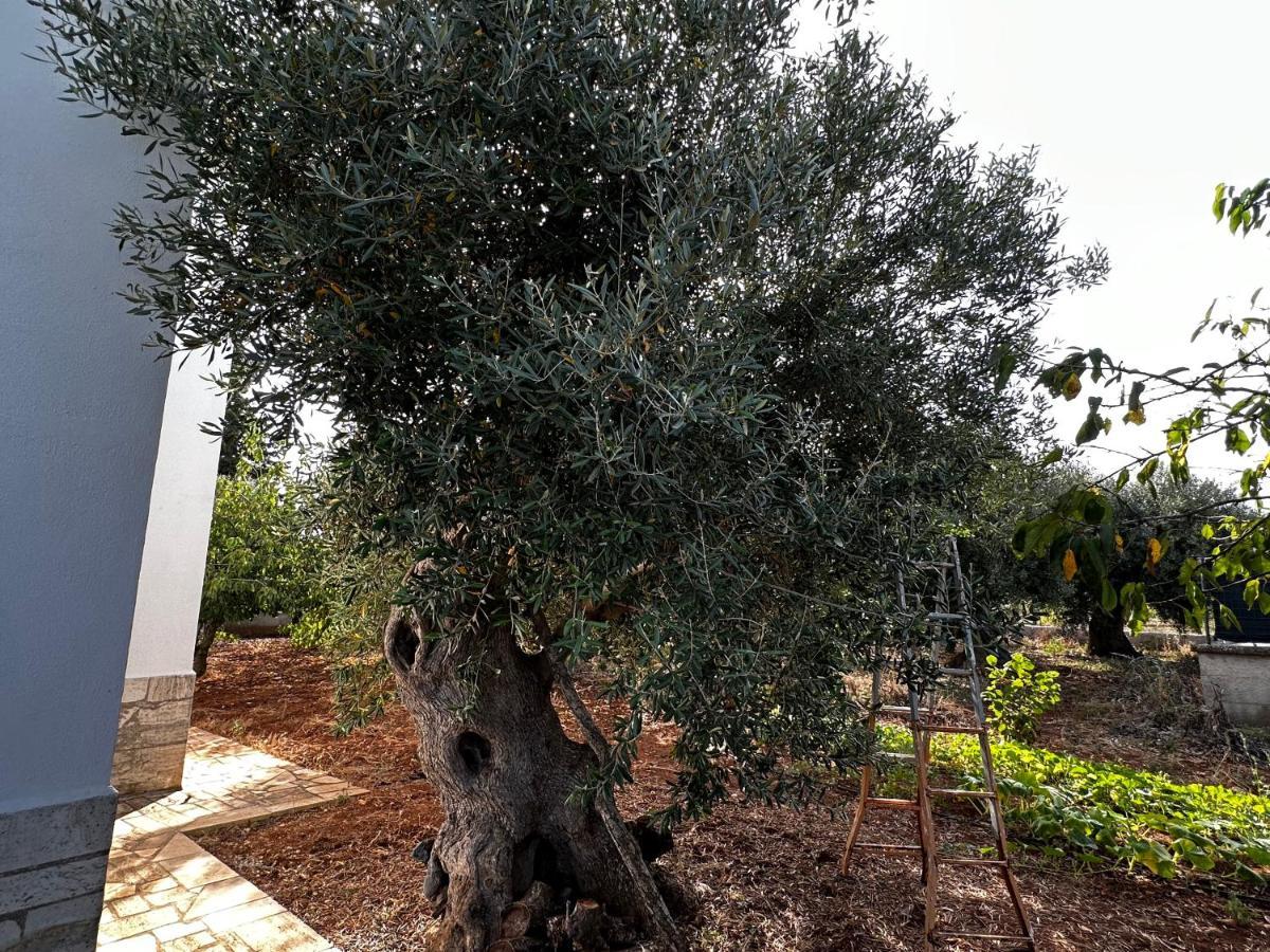 Apartamento Casa Bianca Relax